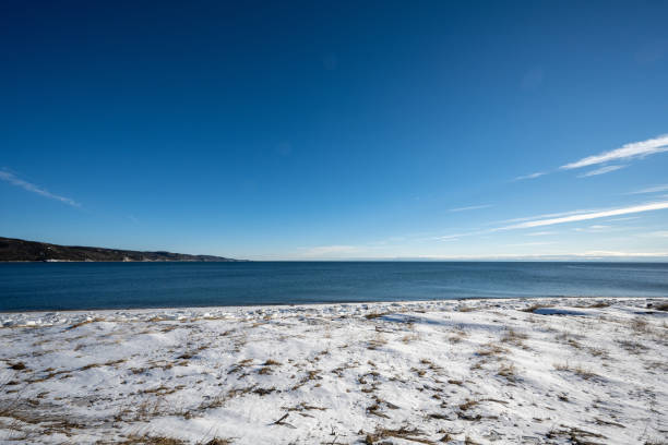 minimalisitc highkey winter landscape.