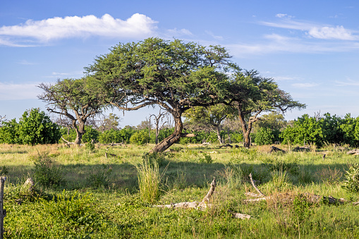 Village of huts at the entrance to Samburu Park in Kenya