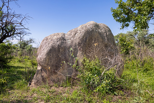 Large rock in the lush bushveld landscape in the Kruger National Park in South Africa