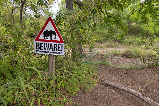 Afsaal Picnic Site, Kruger Park, South Africa - December 4th 2022: Sign warning tourists for the wild elephants in the park