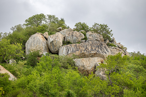 Elephant shrew and rock formations at World's view, Matopos National Park