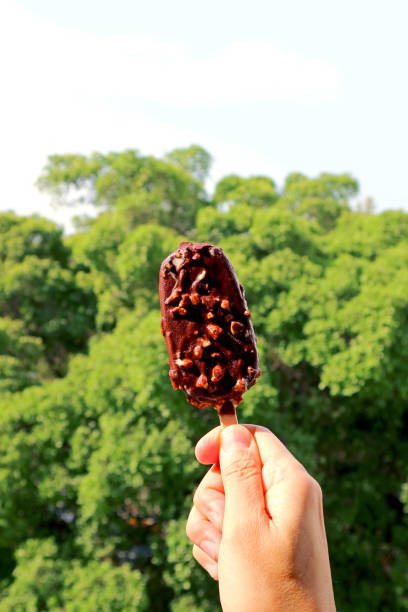 istock Hand Holding a Delectable Chocolate Dipped Ice Cream Bar with Green Foliage in Backdrop 1456577738