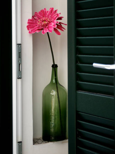 Green bottle and pink flower stock photo