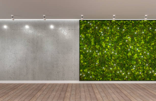 istock Empty interior green wall wood floor concrete wall 1456578197