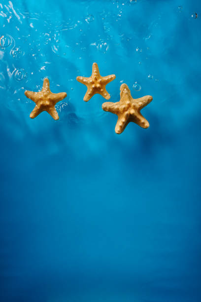 istock Starfish in bright blue ocean water with waves and bubbles 1456578388