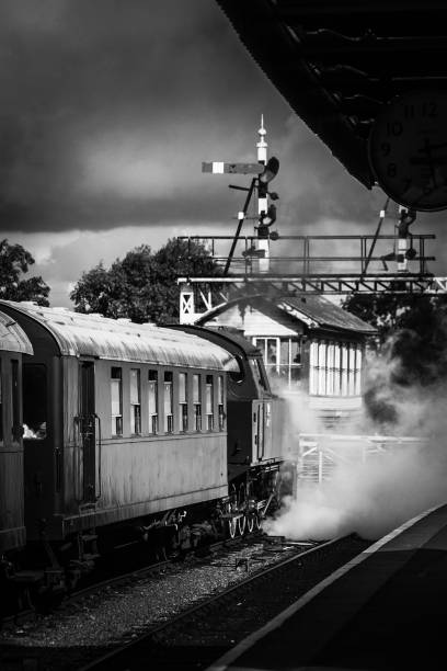 Travel by steam