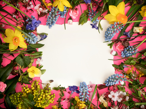 Colorful Spring background with white empty frame