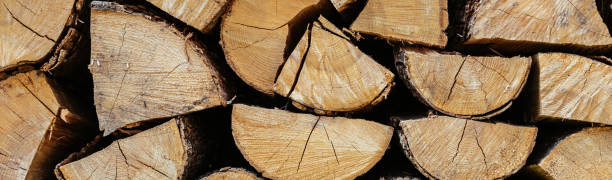 istock Horizontal image Chopped firewood is stacked in a big pile 1456585491