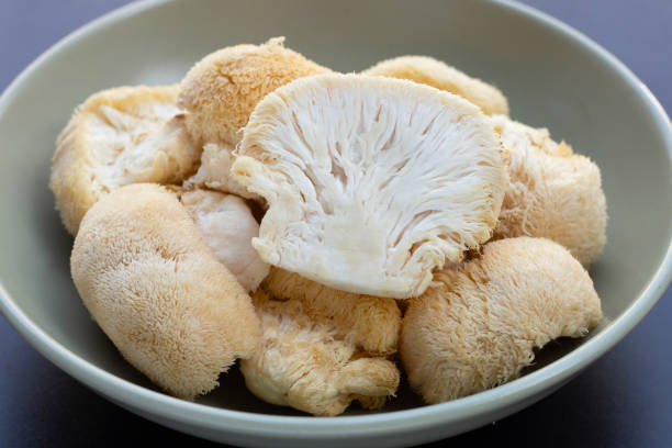 istock Fresh lion's mane mushroom on dark background. 1456585844