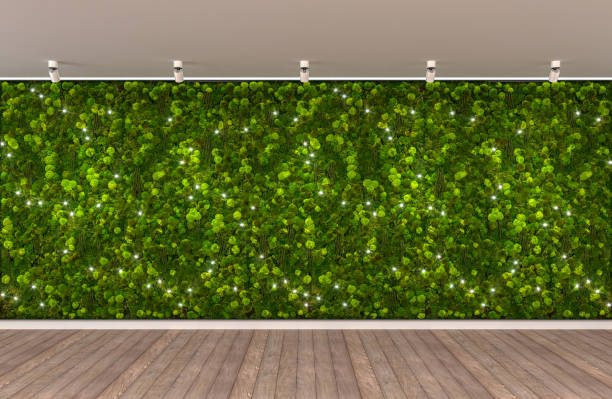 istock Green wall wood floor empty scene 1456585950