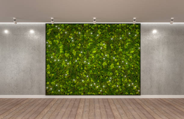 istock Green wall concrete wall and wood floor empty scene 1456585952