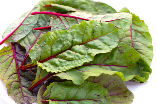 istock Fresh swiss chard leaves. Baby leaf swiss chard 1456587143
