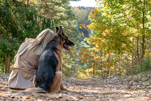 Back view of sitting woman and dog in autumn wood on the mountain