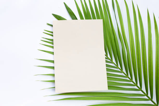 istock Brown paper on palm leaves 1456590971