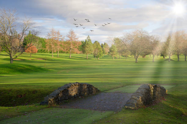 A group of golfers ride in a golf cart on a picturesque golf course, surrounded by the vibrant colors of autumn. Majestic trees with golden leaves create a serene and peaceful atmosphere. This image captures a moment of leisure and enjoyment in the great outdoors, perfect for golf enthusiasts.