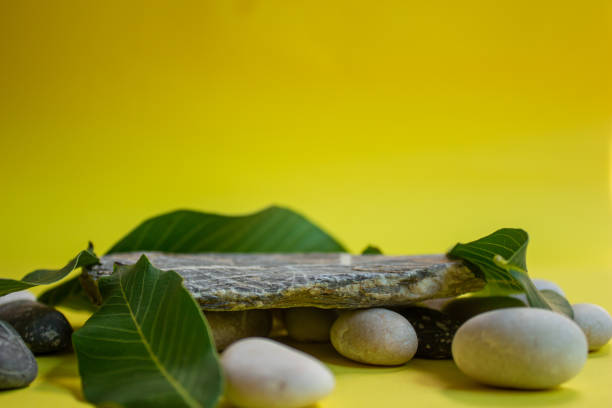 istock Stone podium for product display with green leaves 1456592619