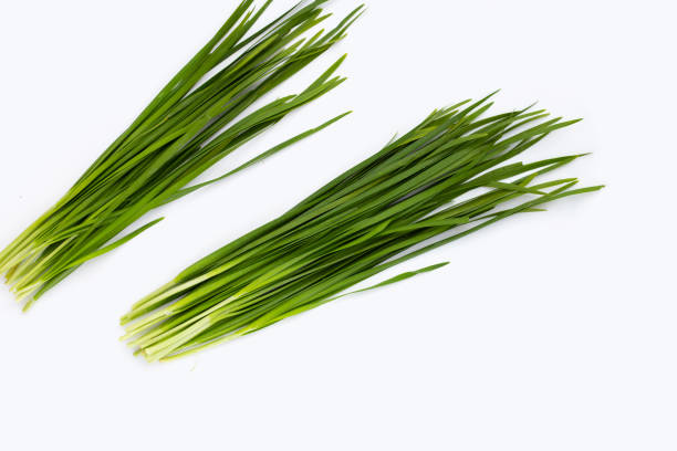 istock Fresh Chinese Chive leaves on white background. 1456592969
