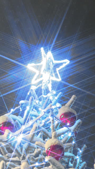 A large Christmas tree illuminated and shining.