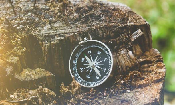 istock Travel and navigation. Determination of cardinal points by compass. 1456597058