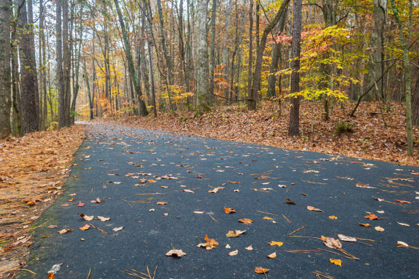 istock Asphalt Path Extends Through Georgia Park With Pretty Fall Foliage 1456597228