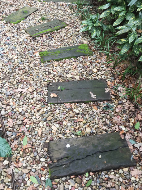 istock Wood garden path and pebbles, footpath 1456598539