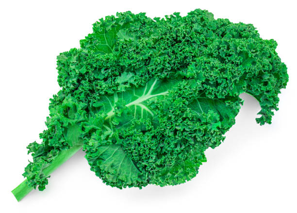 istock Kale leaf salad vegetable isolated on white background. Creative layout made of kale closeup. Flat lay. Food and macro concept. 1456600074