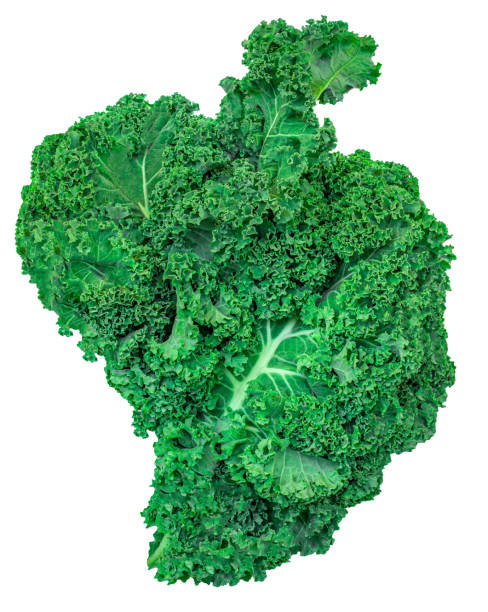 istock Kale leaf salad vegetable isolated on white background. Creative layout made of kale closeup. Flat lay. Food and macro concept. 1456600089