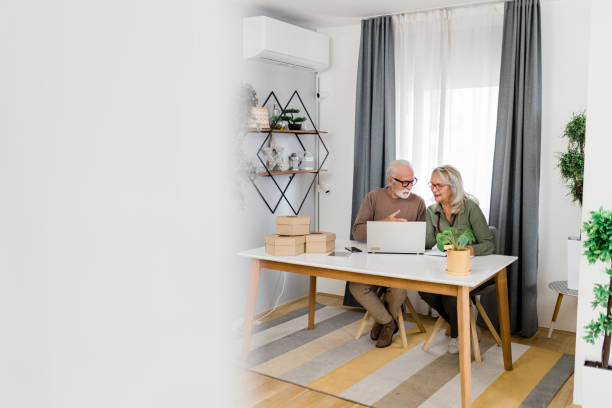 istock Senior couple shopping at home 1456601712