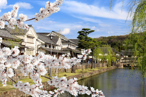 Casas velhas e flores de sakura, canal de Kurashiki no distrito de Bikan, cidade de Kurashiki, Japão - foto de acervo
