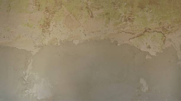 istock peeled wall with a layer of fresh plaster 1456602972