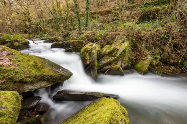 istock Watersmeet in Exmoor National Park 1456603079