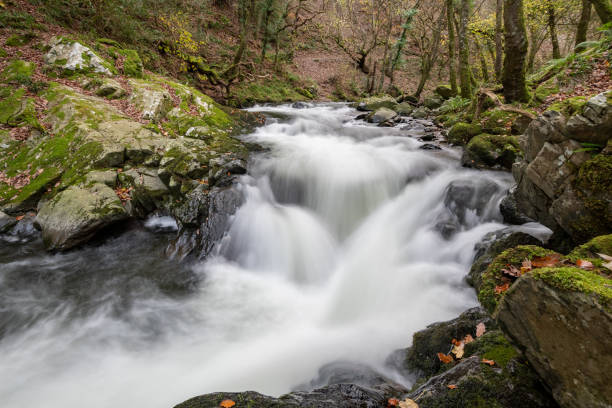 istock Watersmeet in Exmoor National Park 1456603650