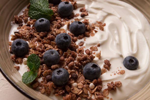 istock yogurt with chocolate muesli, with berries, blueberries, breakfast, close-up, fork on top, no people, 1456607921
