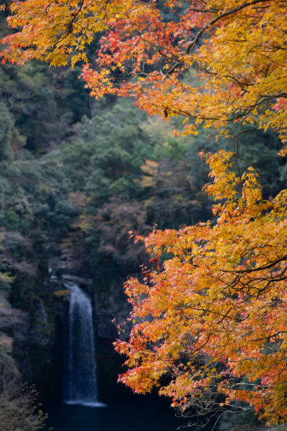 istock suzaki no taki waterfall 1456608414