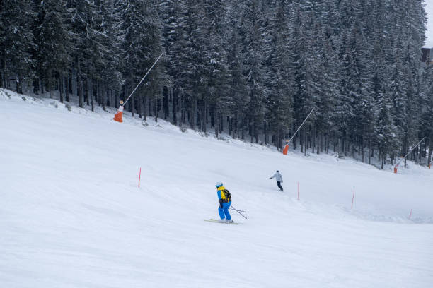 istock woman skier on the slope 1456610514