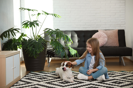 Cute little girl with her dog on carpet at home, space for text. Childhood pet