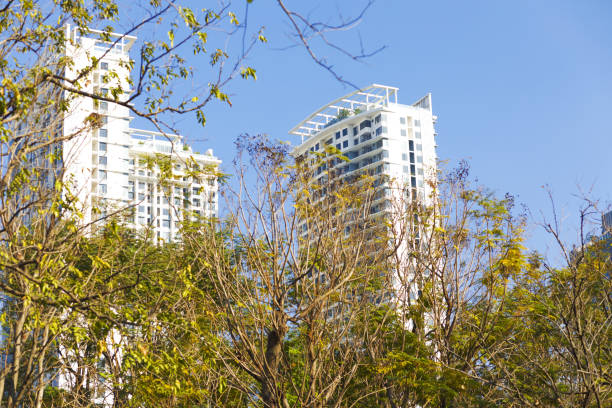 istock Modern condominium apartments skyline  behind Chatuchak Park 1456612431