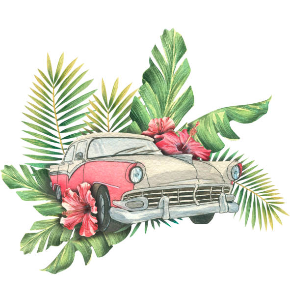 illustrations, cliparts, dessins animés et icônes de voiture rétro en branches et feuilles de palmier, avec des fleurs d’hibiscus. illustration à l’aquarelle. composition d’un grand ensemble de cuba. pour la conception et la décoration d’estampes, d’autocollants, de souvenirs, de papiers peints - taxi retro revival havana car