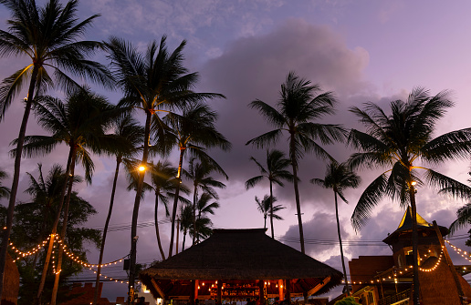 Restaurant decorated with lights on a tropical island. Palm trees against the background of the night sky. Thailand, Koh Samui.