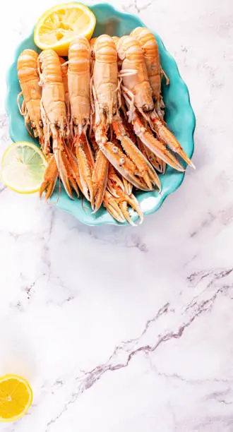 A plate with seafood for the festive table. Norwegian lobster. Food for gourmets. Free space for text. High quality photo