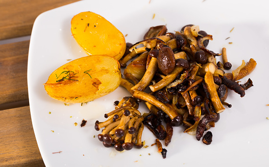 Delicious cooked fried  honey fungus mushrooms with young potatoes at plate