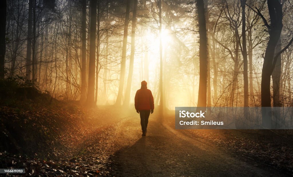 Walking in dramatic sunlight in a misty forest Male hiker walking into the bright gold rays of light in a misty forest, landscape shot with dramatic beautiful lighting mood Walking Stock Photo