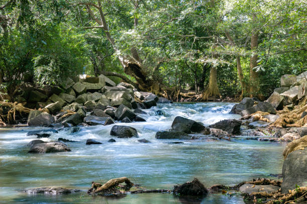 istock Beautiful small waterfall in jungle Sri Lankan nature rajitha amajith 1456619956
