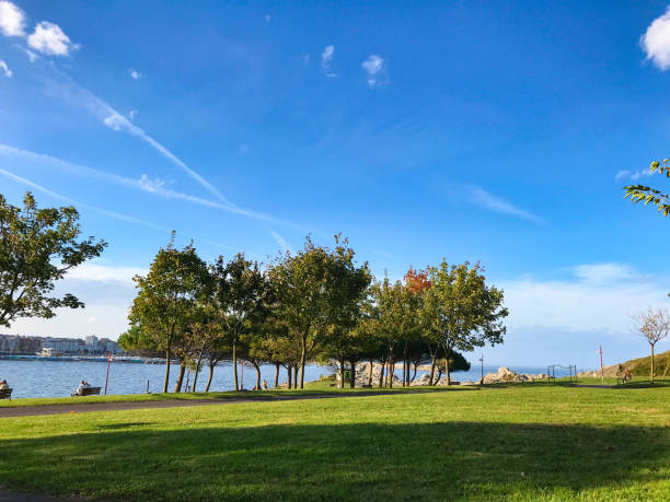 istock Beautiful green park on the coast 1456620012