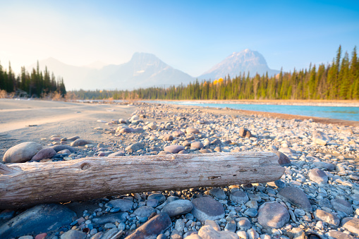 Mountain landscape at the morning. River coast with stones and forest in a mountain valley. Natural landscape with a blue sky and sunshine. Wallpaper. Alberta, Canada.