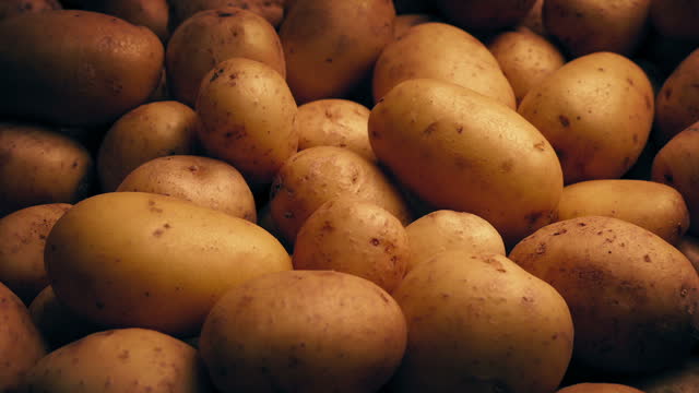 Potato Pile Moving Shot, Food Agriculture Harvest