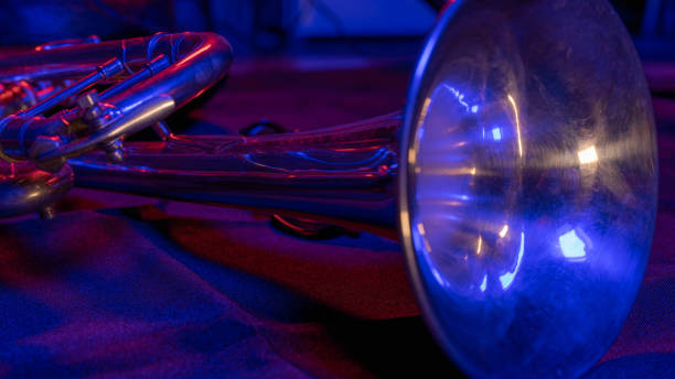 istock Trumpet in the Dark 1456623040