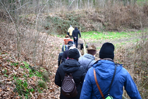 Diest, Flemish-Brabant, Belgium - January 15, 2023: caucasian nature hikers, warm clothed, in a line seen from their back walking in a forest in winter