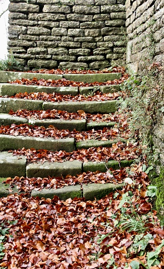Wall with stone steps covered with autumnal leaves.