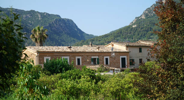 Sóller Mallorca, Spain - March 23, 2025 - Field with stacked firewood in the village of Sóller